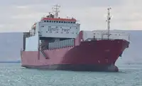 Ro-Ro ship untuk jualan