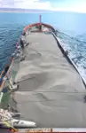 Kapal kontena untuk dijual
