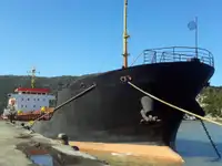 Pembawa pukal untuk jualan
