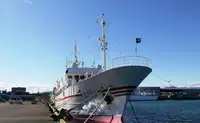 Kapal tinjauan untuk dijual