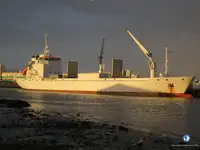Kapal reefer untuk jualan