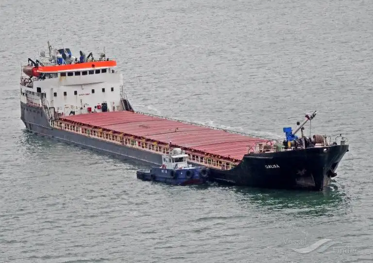 Kapal pengangkut pukal untuk dijual