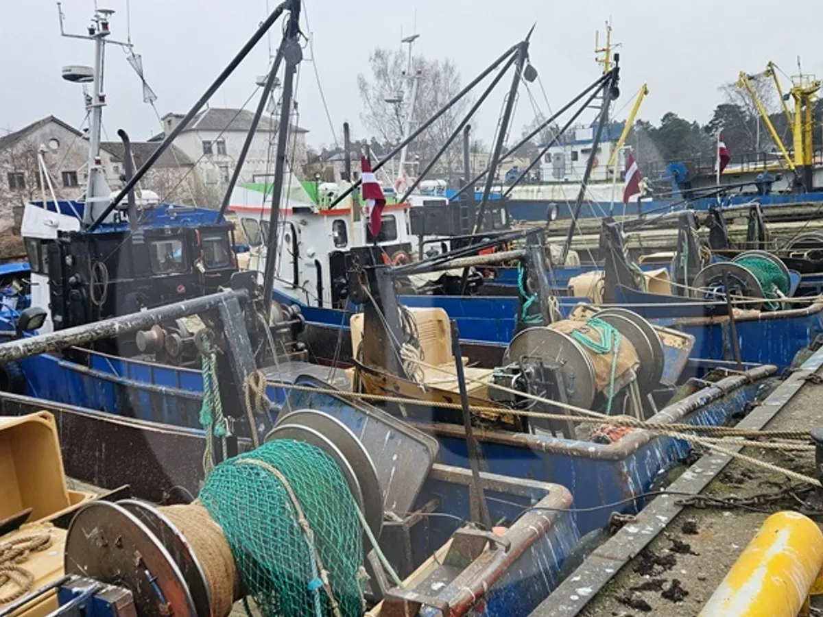 Kapal pengangkut ikan hidup untuk dijual