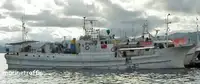 Longliner untuk jualan