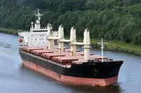 Pembawa pukal untuk jualan