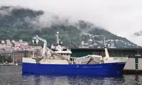 Purse seiner untuk jualan