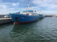 Kapal reefer untuk jualan