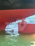 Kapal pengangkut pukal untuk dijual