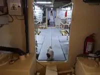 General Cargo/Multi-purpose untuk dijual