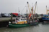 Kapal pukat untuk dijual