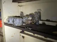 Kapal pengorek untuk dijual