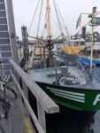Kapal pukat untuk dijual