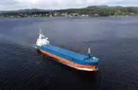 Kapal pengangkut pukal untuk dijual