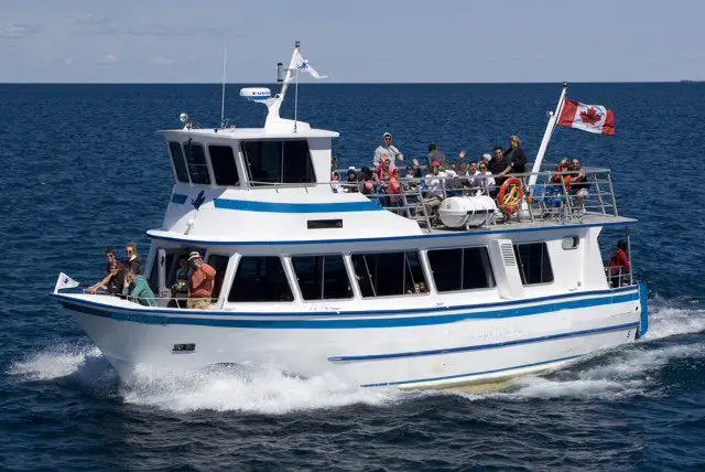 Kapal pelayaran untuk dijual