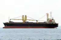 Pembawa pukal untuk jualan