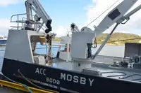 Kapal kontena untuk dijual