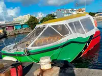 Kapal feri untuk jualan