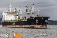 Kapal pengangkut pukal untuk dijual