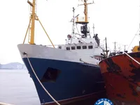 Kapal pukat untuk dijual