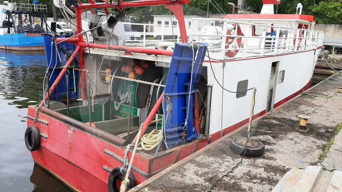 Kapal pengangkut ikan hidup untuk dijual