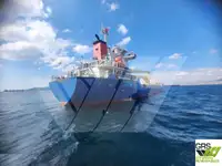 Kapal pengangkut pukal untuk dijual