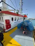 Kapal kontena untuk dijual