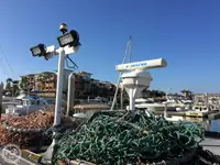 Kapal pukat untuk dijual