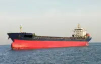 Pembawa pukal untuk jualan