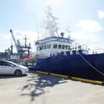 Purse seiner untuk jualan