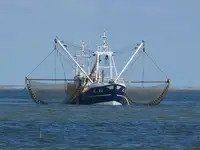 Trawler untuk jualan