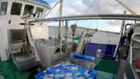 Kapal pukat tunda untuk dijual