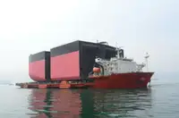 Pembawa pukal untuk jualan