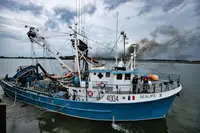 Kapal pukat lilit untuk dijual