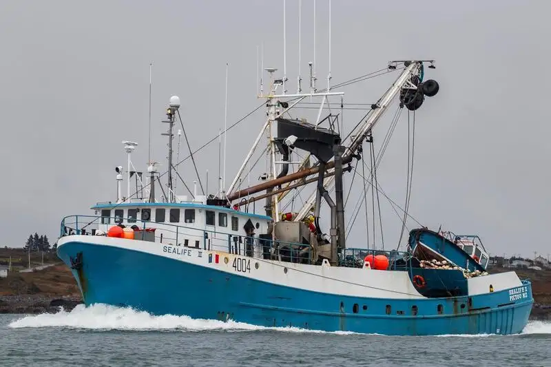 Kapal pukat lilit untuk dijual
