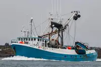 Kapal pukat lilit untuk dijual