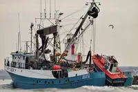 Kapal pukat lilit untuk dijual
