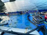 Pembawa pukal untuk jualan