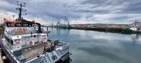 Kapal layar untuk dijual