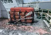 Kapal pelayaran untuk dijual