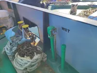 Kapal kontena untuk dijual