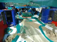 Trawler untuk jualan