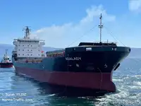 Pembawa pukal untuk jualan