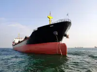 Pembawa pukal untuk jualan