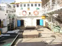 Kapal pukat panjang untuk dijual