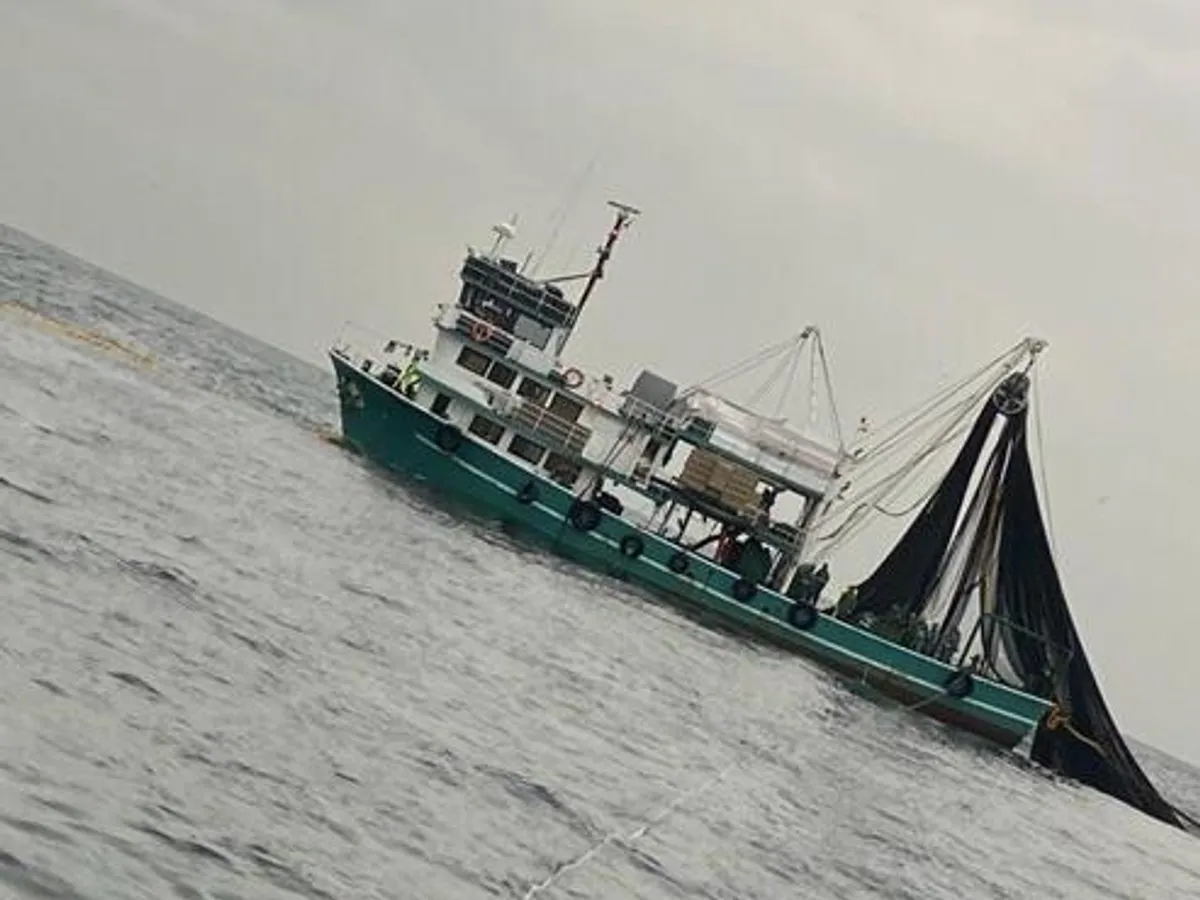 Kapal pukat lilit untuk dijual