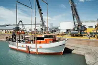 Trawler untuk jualan
