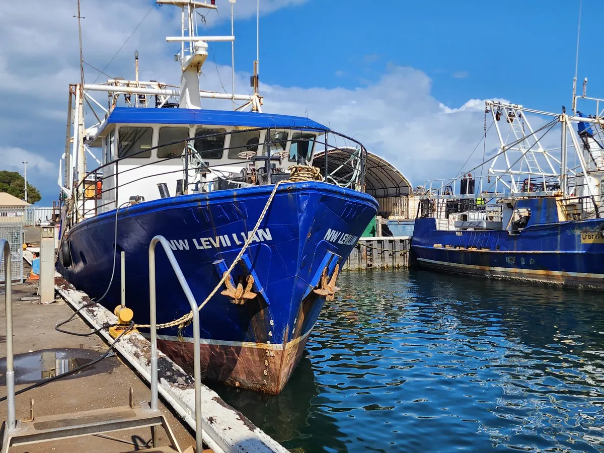 Kapal pukat untuk dijual