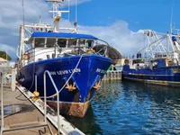 Kapal pukat untuk dijual