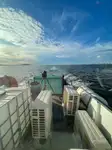 Kapal kontena untuk dijual