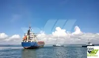 Pembawa pukal untuk jualan